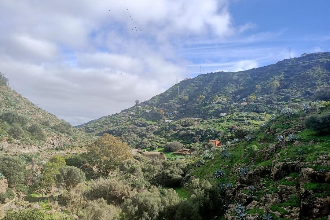 Photo of Outdoor in Telde