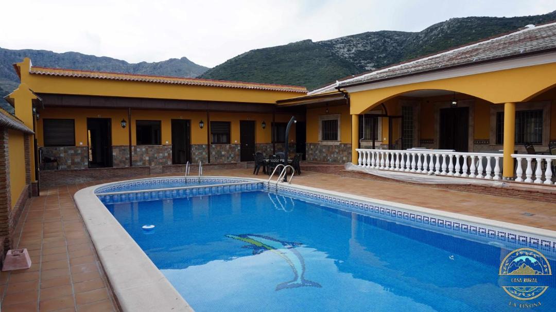 Photo of Others in Las Lagunillas