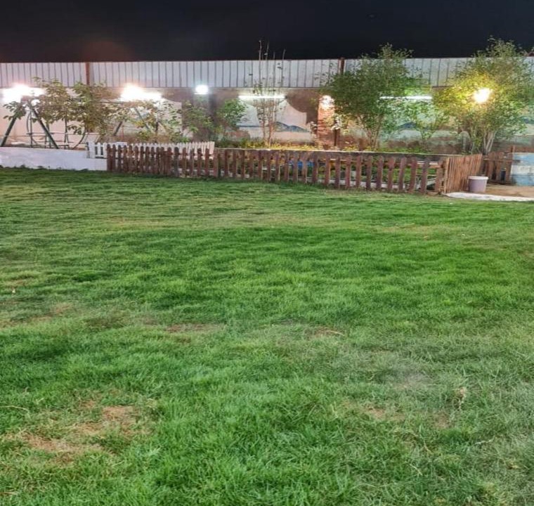 Photo of Others in Taif