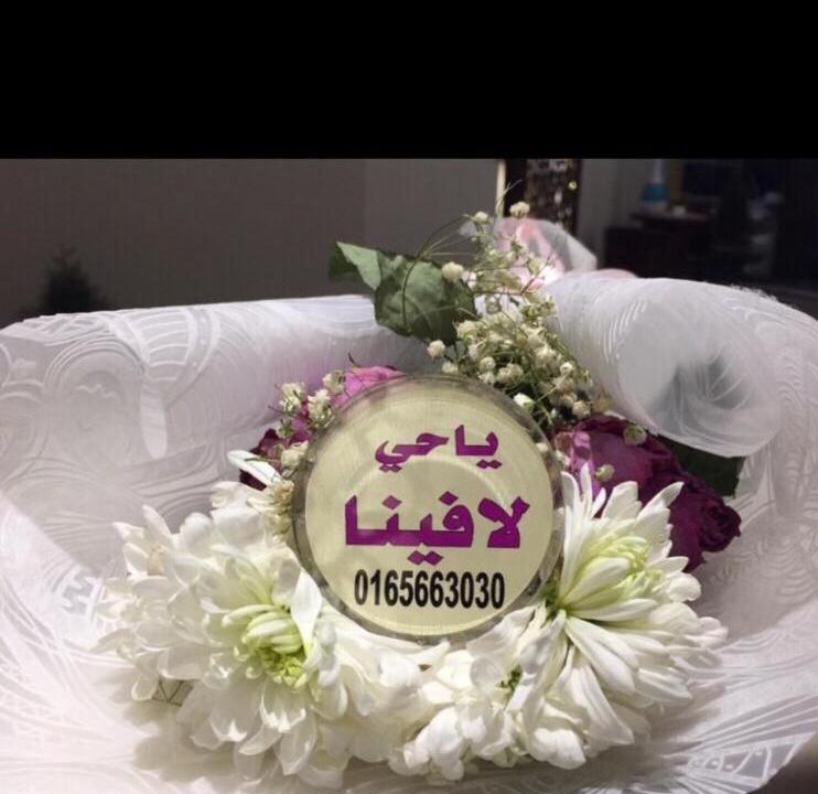 Photo of Others in Ha'il