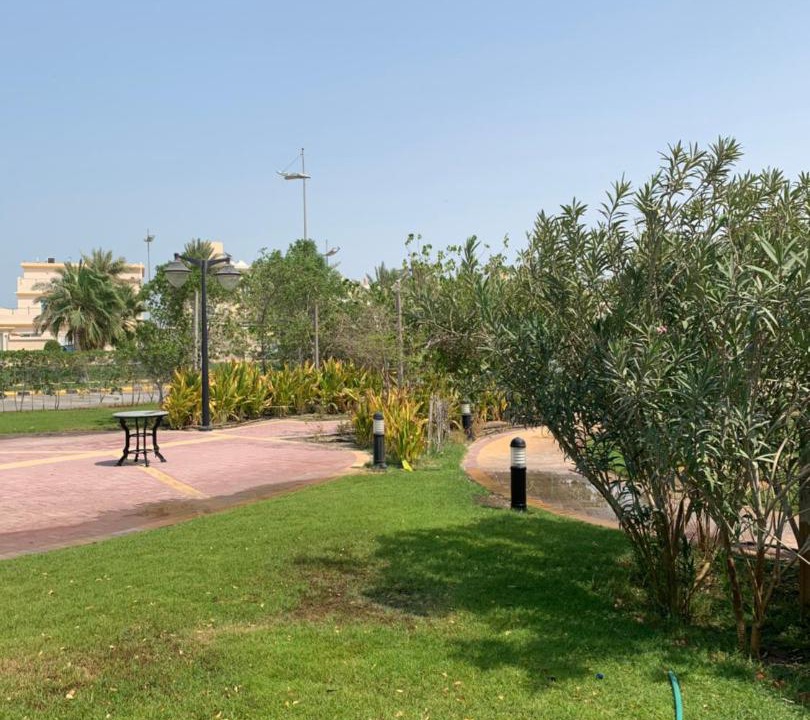 Photo of Others in Dhahran
