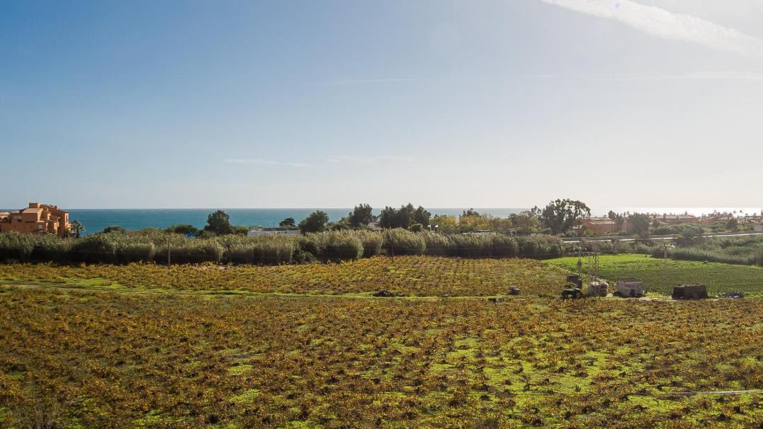 Photo of Outdoor in Castillo de Sabinillas