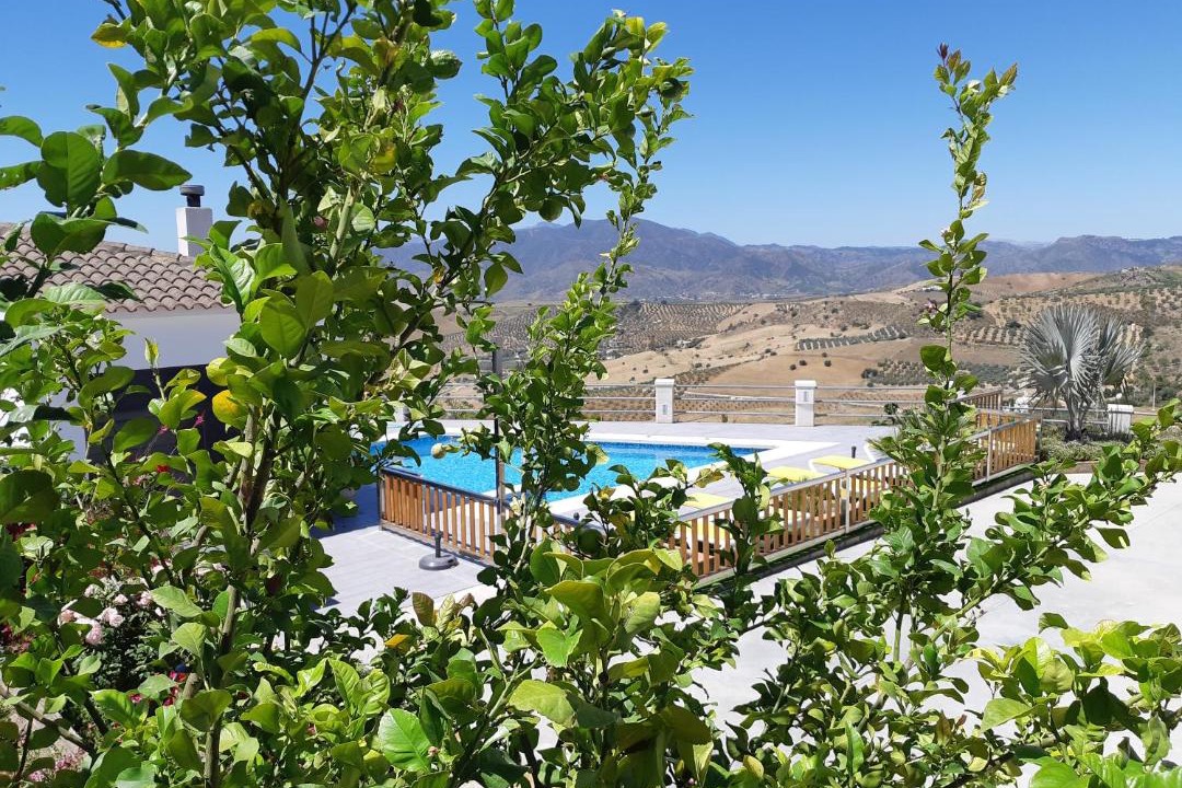 Photo of Others in Alora