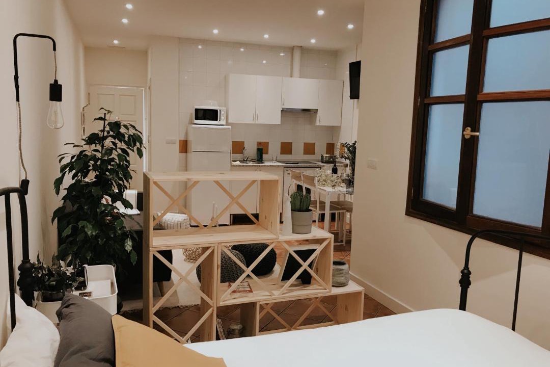 Photo of Livingroom in Bilbao la Vieja