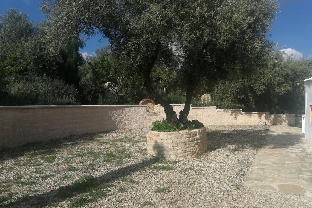 Photo of Others in Iznajar