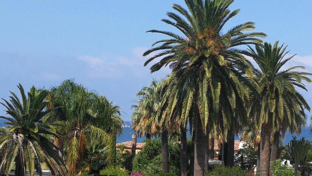 Photo of Outdoor in Denia