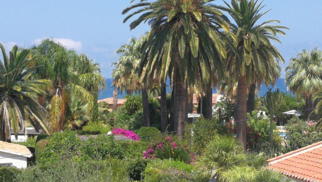 Photo of Others in Denia