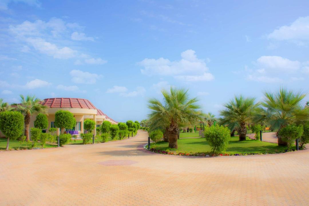 Photo of Others in Dhahran