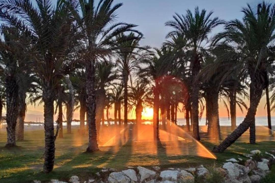 Photo of Others in Torremolinos