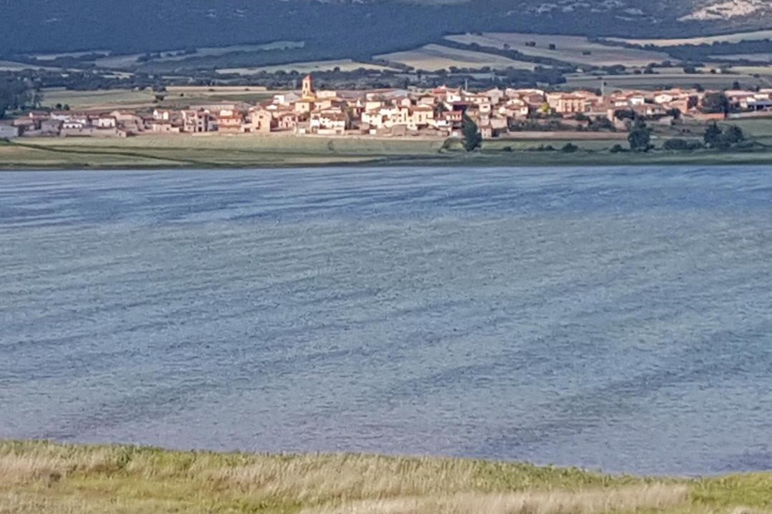 Photo of Others in Gallocanta