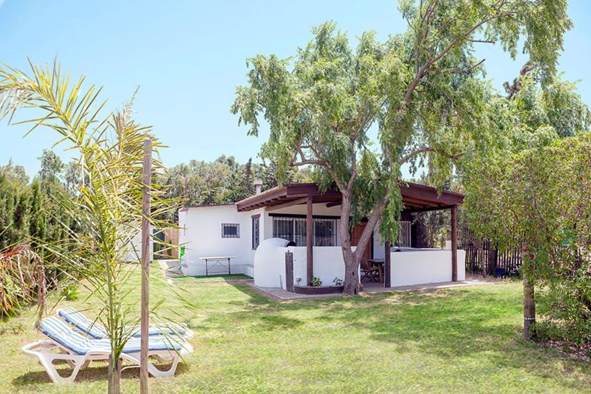 Photo of Buildings in Bolonia