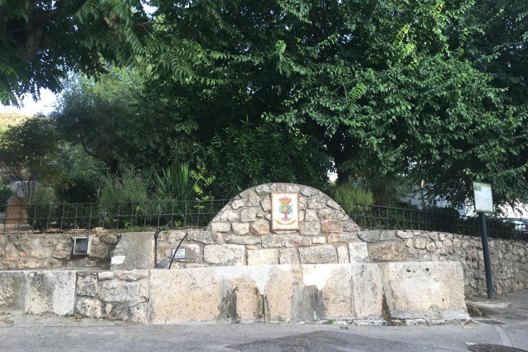 Photo of Others in Olmeda de la Cebolla