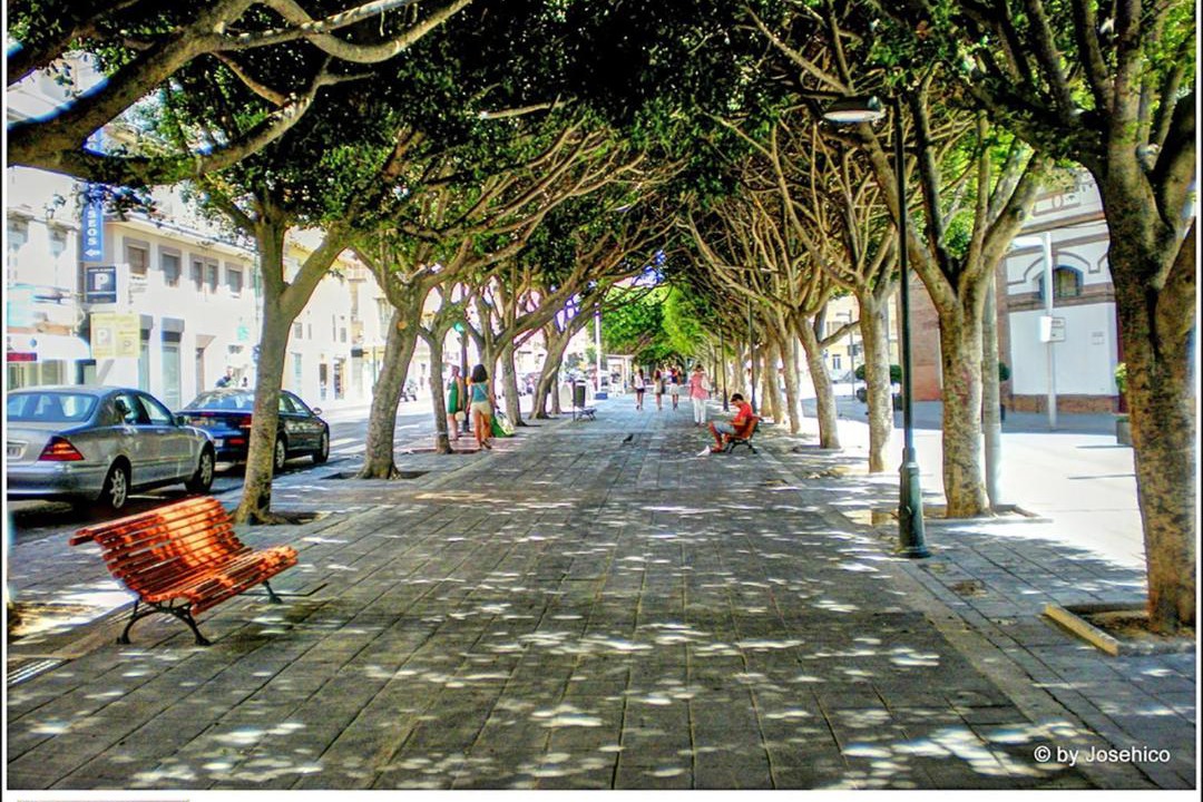 Photo of Others in Campos Eliseos