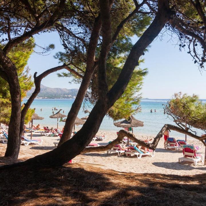 Photo of Outdoor in Alcudia