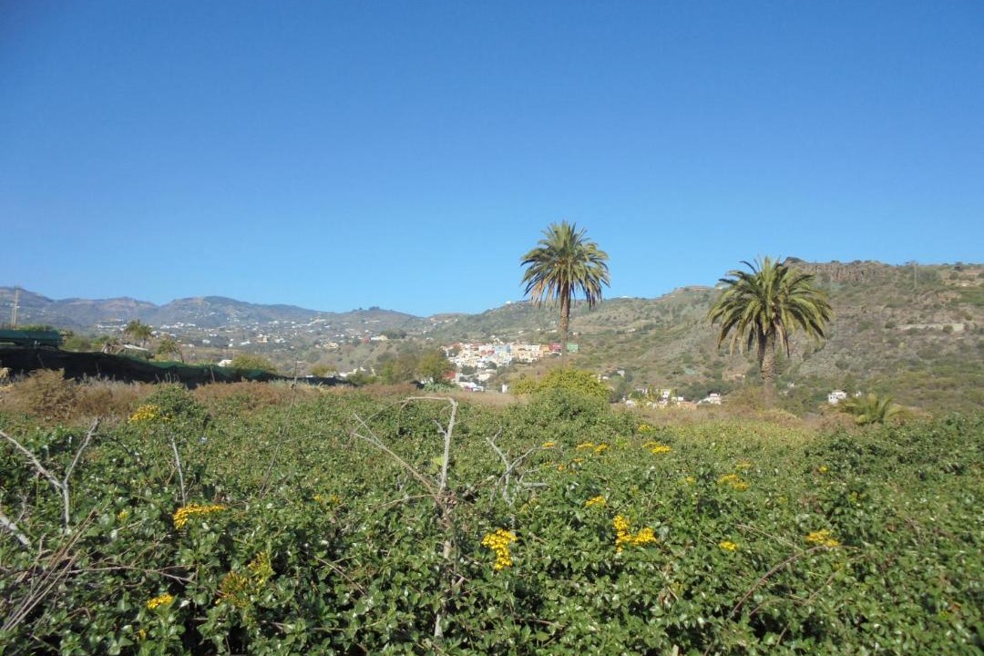 Photo of Outdoor in Santa Brigida