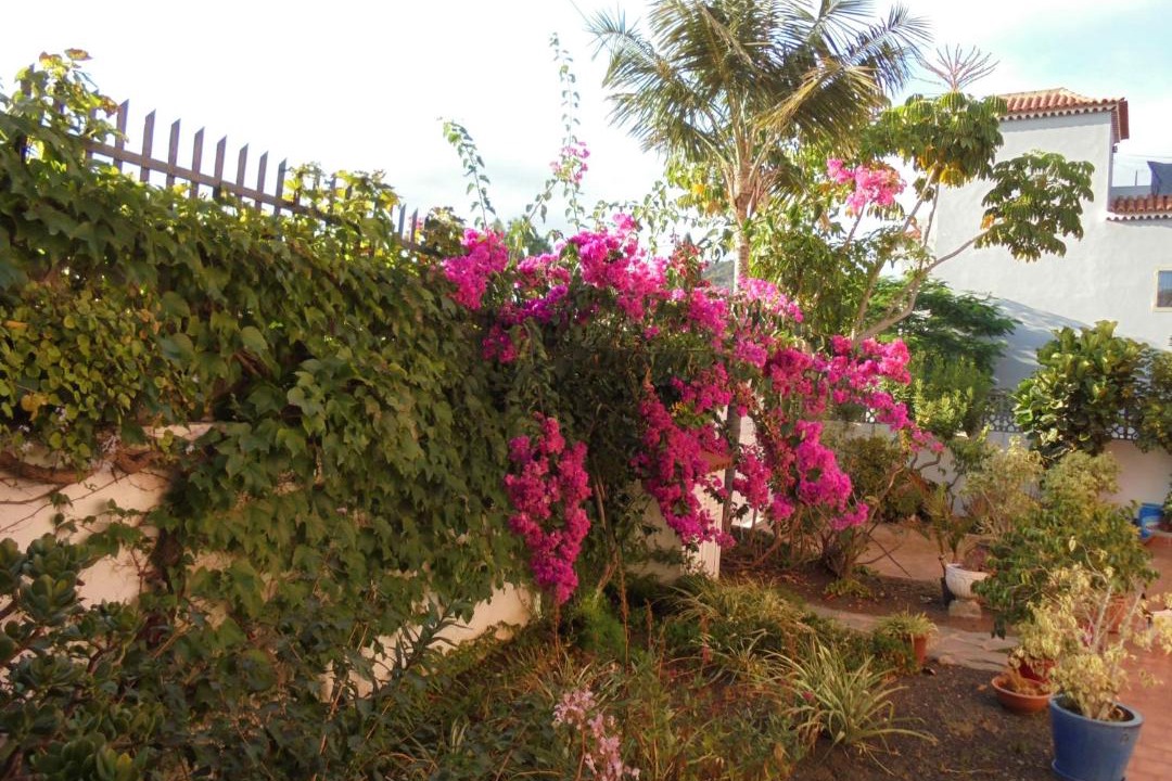 Photo of Outdoor in Santa Brigida