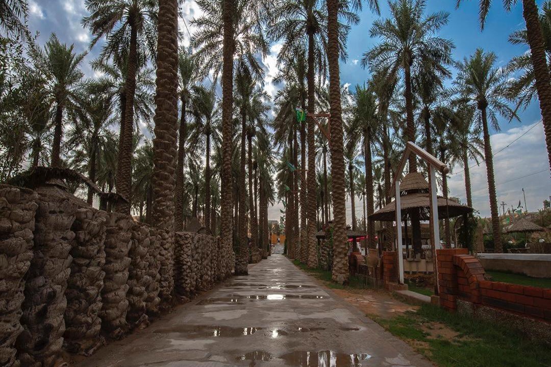 Photo of Others in Buraydah