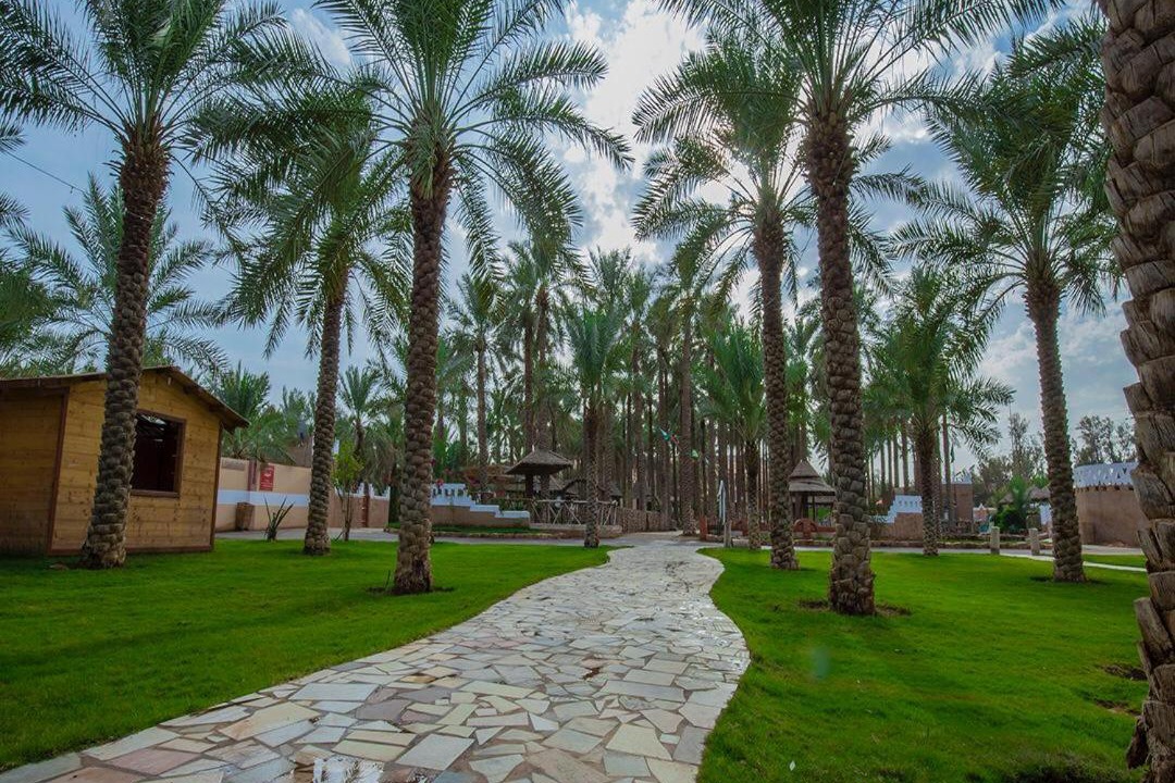 Photo of Others in Buraydah