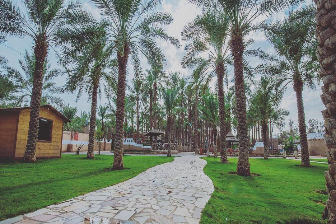 Photo of Others in Buraydah