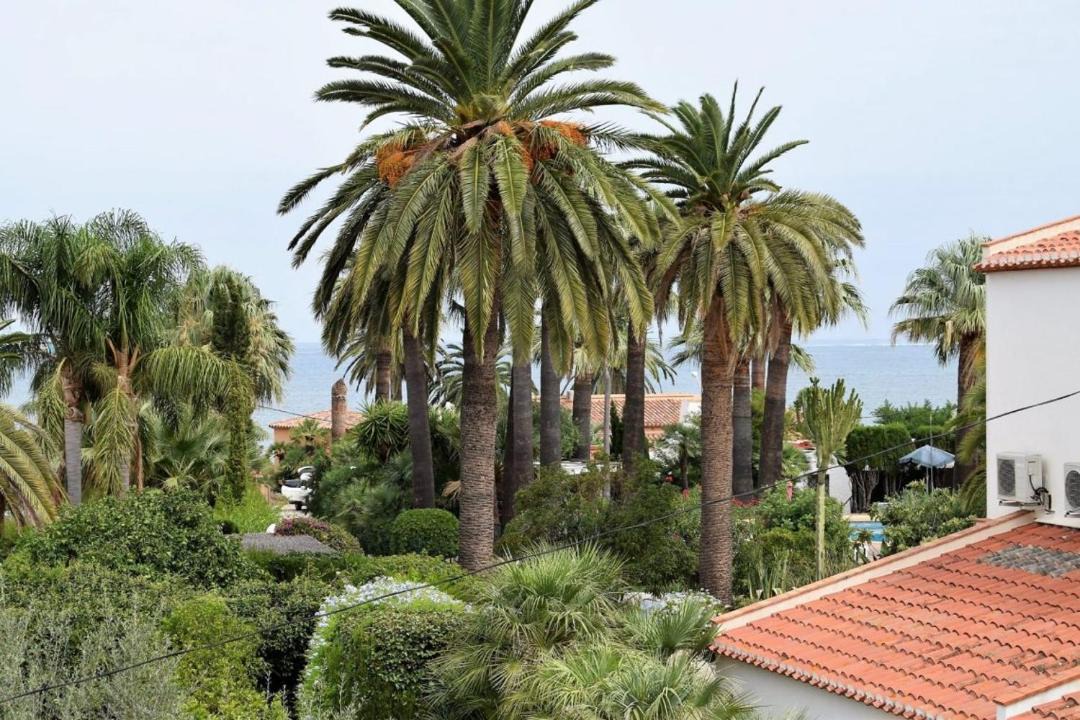 Photo of Others in Denia