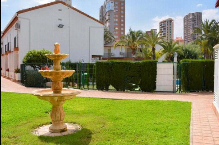Photo of Others in Benidorm