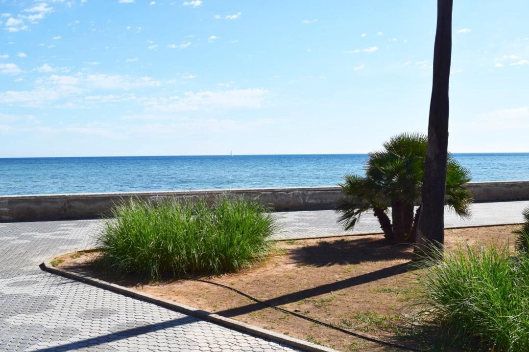 Photo of Others in Denia