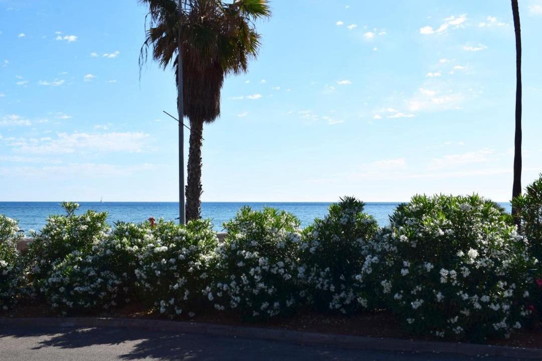 Photo of Outdoor in Denia