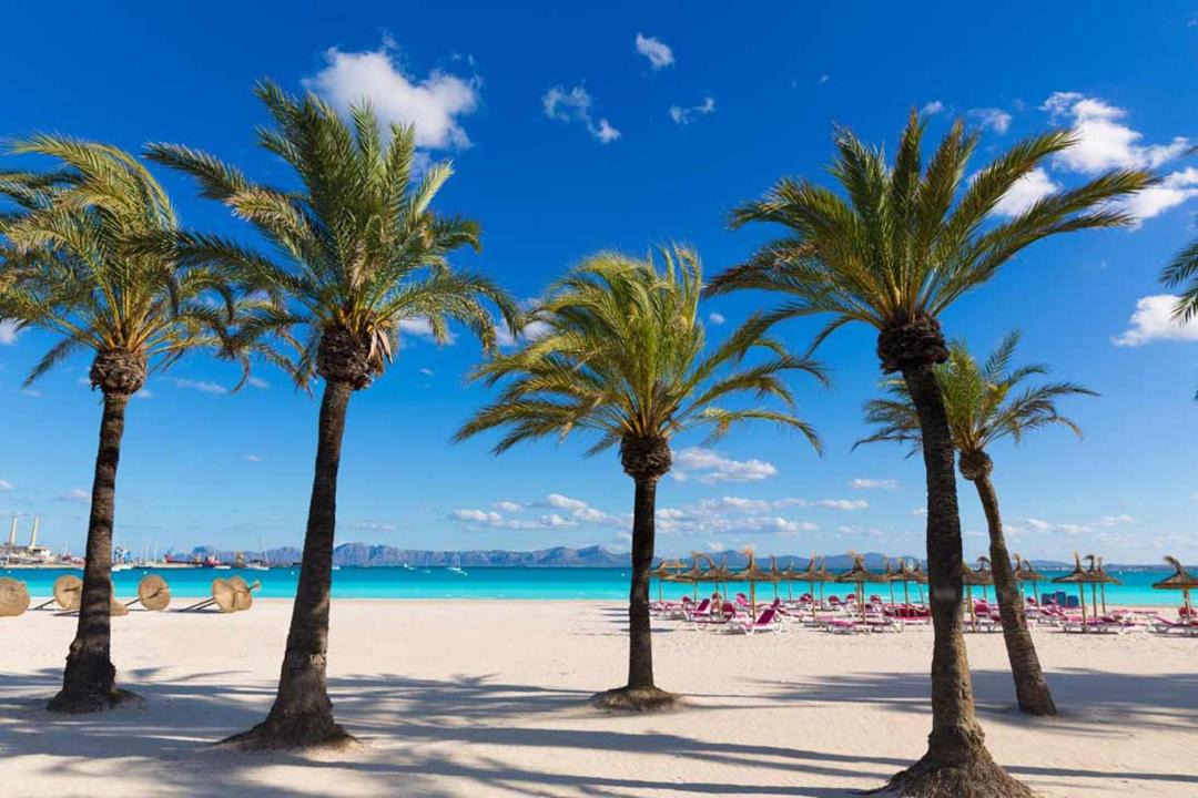 Photo of Outdoor in Alcudia