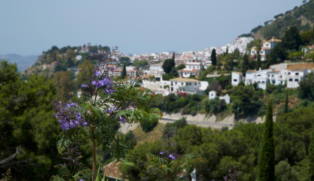 Photo of Outdoor in Mijas