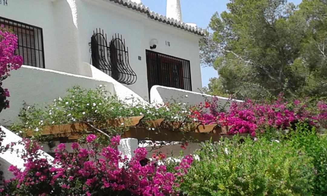 Photo of Buildings in Jesus Pobre