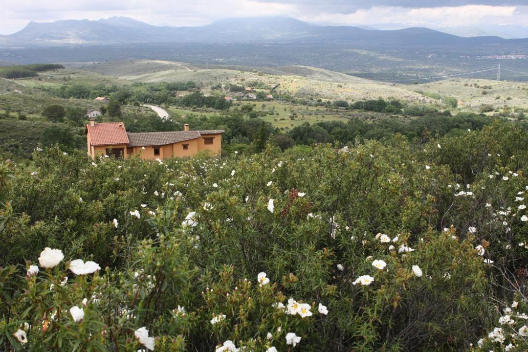 Photo of Others in Berzosa del Lozoya