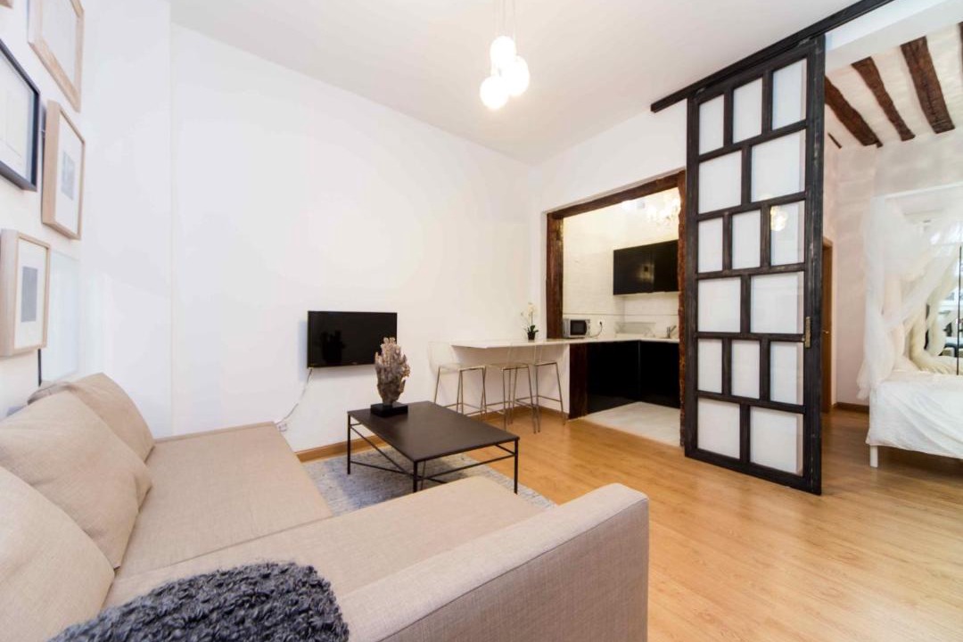 Photo of Livingroom in Barrio de las Letras