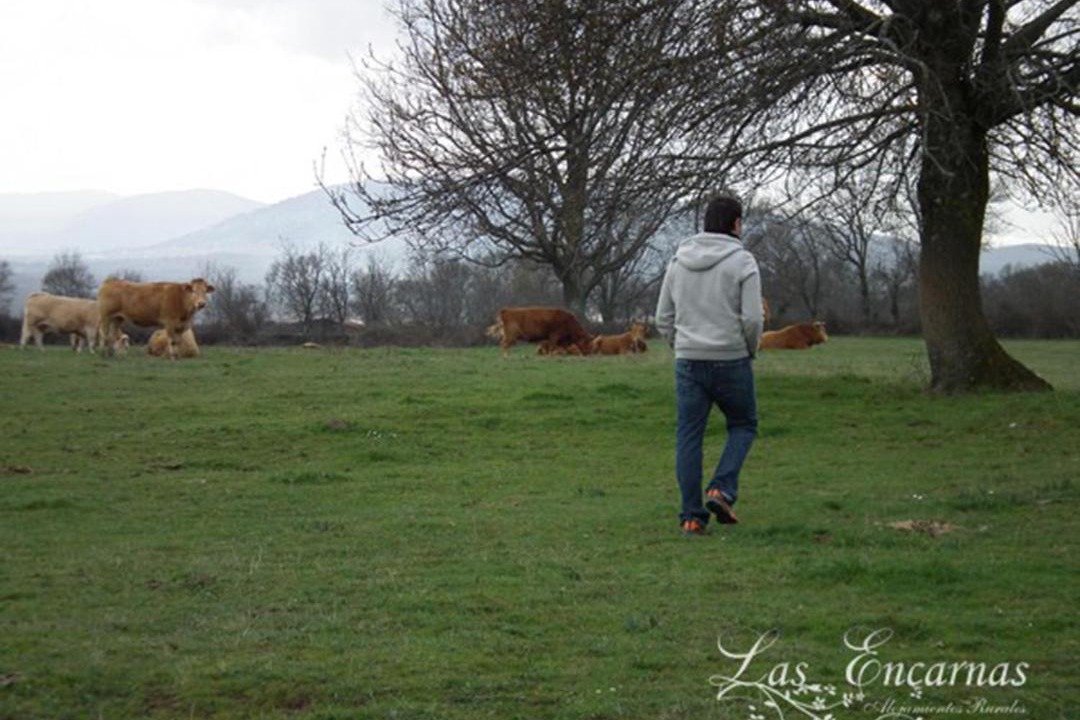 Photo of Others in Braojos