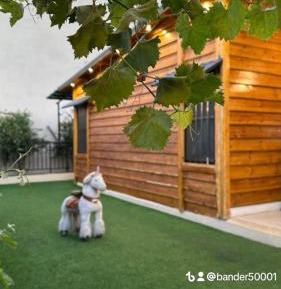 Two-Bedroom Chalet