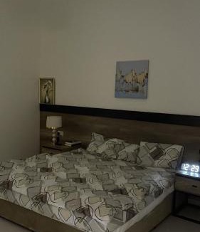 Hafr Al Batin Apartment | شقه حي الوادي